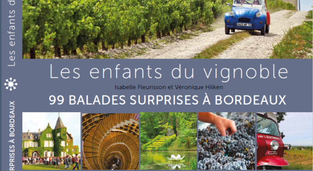 livre sur les vins de Bordeaux