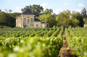 visite au chateau en pessac-leognan