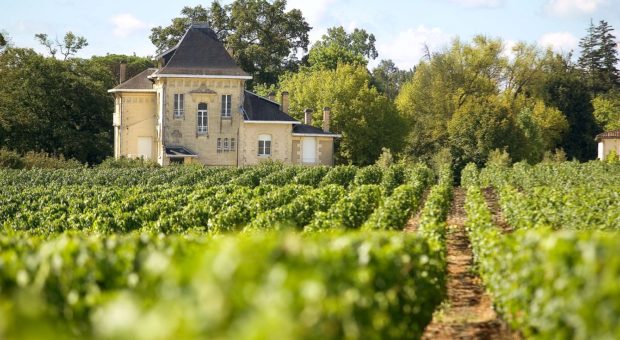 visite au chateau en pessac-leognan