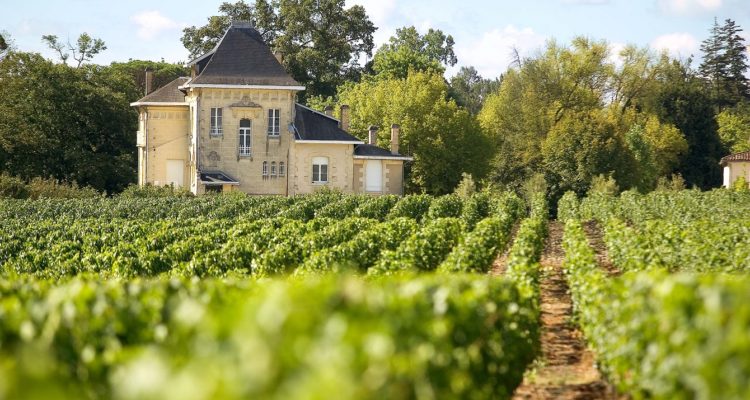 visite au chateau en pessac-leognan