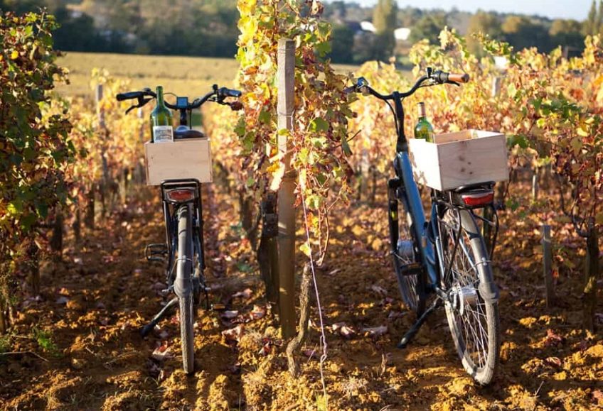 des vélos dans les vignes de pessac-léognan