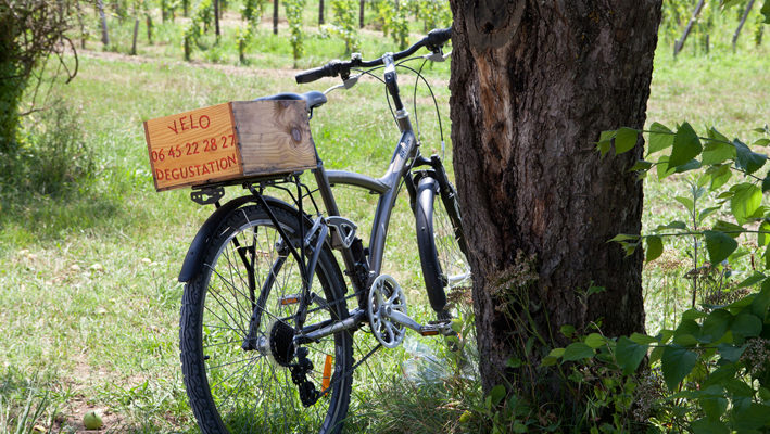 image de vélo dans les vignes