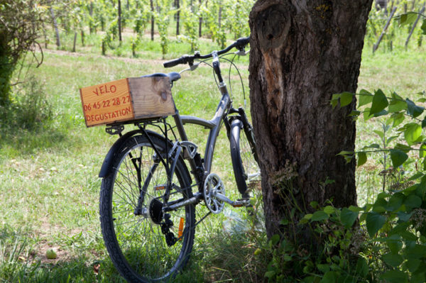 image de vélo dans les vignes