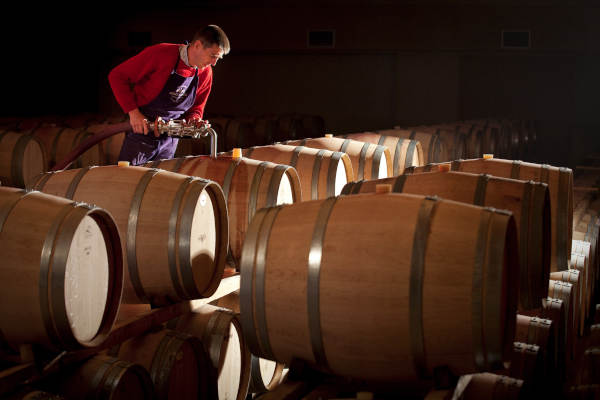 visite et cours d'oenologie au chateau la louvière pessac-léognan