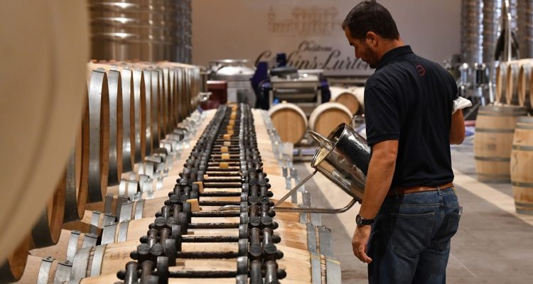 maitre de chai qui pratique le ouillage des barriques de pessac-leognan