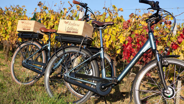 visite et dégustation à vélo dans un chateau en pessac-léognan