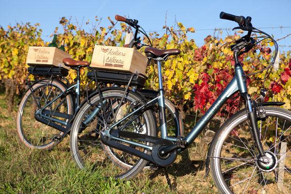 visite et dégustation à vélo dans un chateau en pessac-léognan