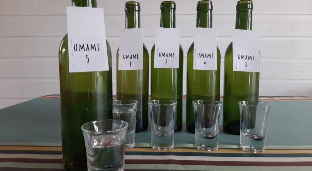 atelier de dégustation umami