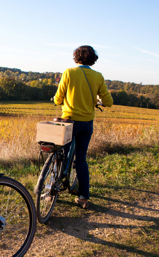 balade à vélo dans les vignes