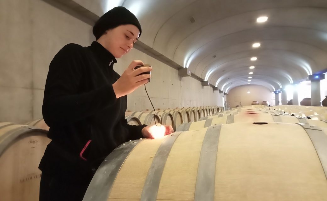 visite du chai à barriques pendant la période de travail du vin en élevage