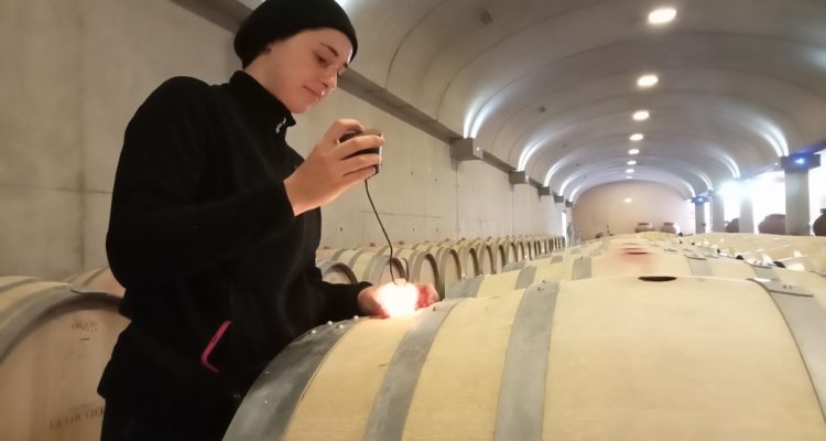 visite du chai à barriques pendant la période de travail du vin en élevage