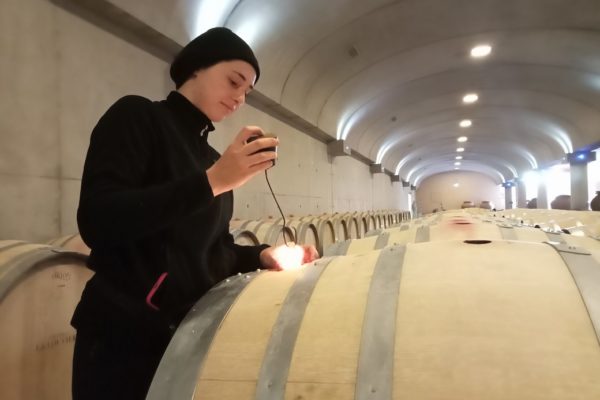 visite du chai à barriques pendant la période de travail du vin en élevage